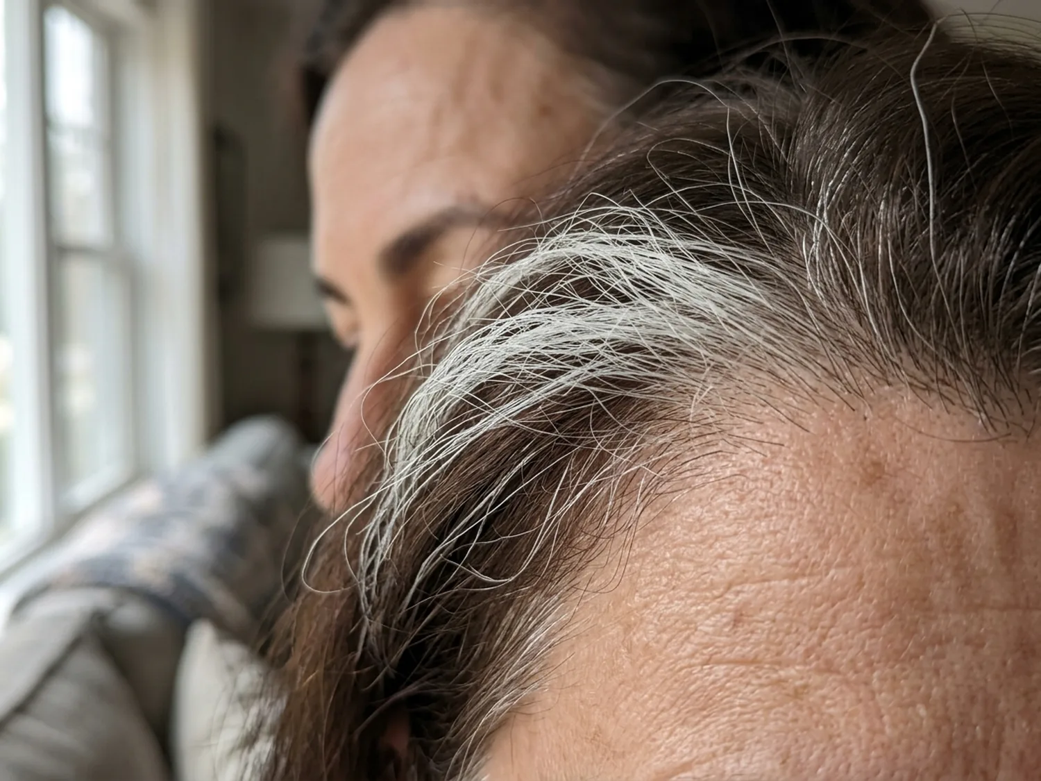 Extreme close-up of coarse white hair strands next to softer dark brown strands, natural light